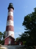 PICTURES/Chincoteague Island/t_Assateague Lighthouse5.JPG